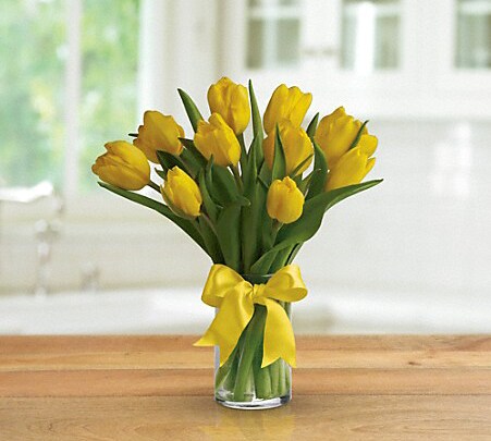 Yellow Spring Tulips